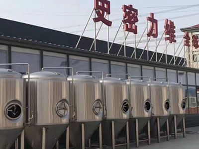 芦山精酿啤酒设备厂—市场规模与跨界新需求